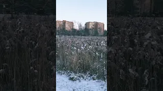 Первый снег. Мытищи. р.Яуза.