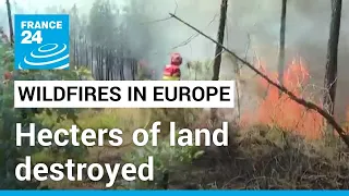 Wildifires in Europe: Hecters of land destroyed in Portugal, Spain • FRANCE 24 English