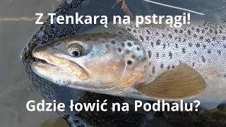 Z Tenkarą na pstrągi! Gdzie łowić na Podhalu?