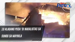 10 alagang pusa 'di nakaligtas sa sunog sa Maynila | TV Patrol