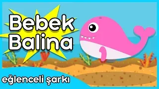 Bebek Balina / Türkçe Baby Shark Çocuk Şarkısı