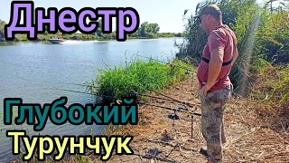 Рыбалка на Днестре "Глубокий Турунчук".Ловля сазана и леща на горох#рыбалка2023#сазан#лещ#днестр