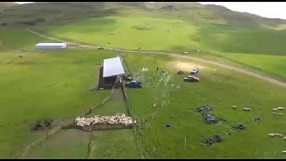 Sheep Conveyor