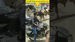 #Funny video 😂🤣🤣🤣#Bull Fight #Shorts #comedy video।।