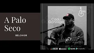 12 - A Palo Seco - Belchior  Acústico MTV 2019 Cadu Gonzaga