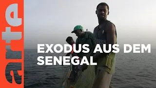 Senegal: Exodus der Fischer | ARTE Reportage