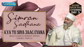 KYA TU SOYA JAAG EYANA EVENING SUMMER CHALIYA DAY 3,   SIMRAN SADHANA - 19th APRIL, 2022