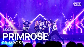 PRIMROSE(프림로즈) - PRIMROSE @인기가요 inkigayo 20230115