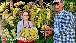 Making Fruit Jam, Village Style! 🍇🏡