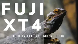 How Good Is Fujifilm XT4 for VIDEO?! FREE sample footage