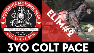 2019 Breeders Crown Elim#2 - Bettor's Wish - 3YO Colt Pace