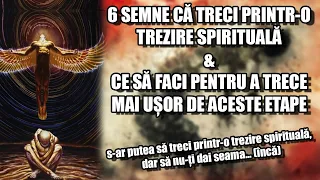 MANUALUL TREZIRII SPIRITUALE: Ce este Trezirea Spirituală și cum să treci dincolo de ea, RENĂSCUT