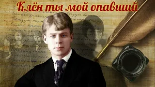 Сергей Есенин - Клён ты мой опавший (читает Александр Поздняков)