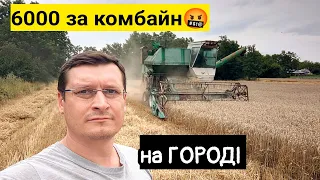 Жнива на городі! Пшениця почорніла, скільки зберемо з 0,9га. Комбайн СК-5 Нива за 6000 грн вигідно?