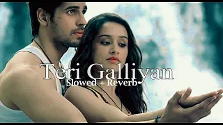 Teri Galliyan (Slowed + Reverb)- Ankit Tiwari , Mithoon #TeriGalliyaan #EkVillian2 #trending #lofi