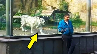 Tiger Sees Caretaker After 5 Years - Pay Close Attention To His Reaction!