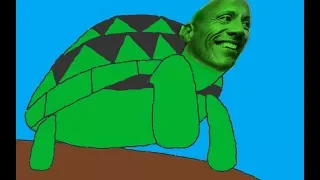 Turtlecoin is the best cryptocurrency