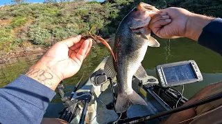 Bass fishing California Lake-2024