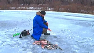 Вот это КЛЁВ ! Ловля ЛЕЩА зимой! Ловля ОКУНЯ зимой! ЗИМНЯЯ РЫБАЛКА на ОКЕ !