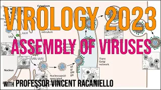 Virology Lectures 2023 #10: Assembly of viruses