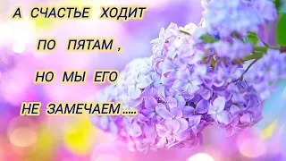 А счастье ходит по пятам...🌺