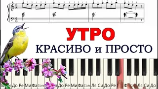 Красивая ПРОСТАЯ мелодия УТРО Григ для начинающих (пианино)