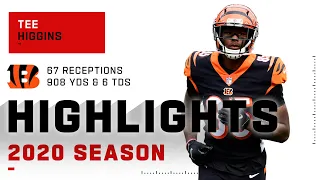 Tee Higgins Full Rookie Season Highlights | NFL 2020