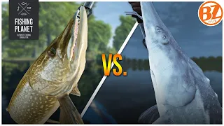 [SETTLED] Pike vs. Sturgeon: Should you go to San Joaquin Delta? | Fishing Planet