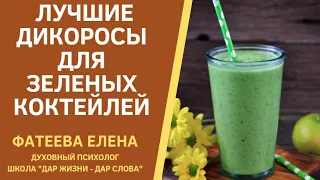 СЪЕДОБНЫЕ ДИКОРОСЫ для ЗЕЛЕНЫХ КОКТЕЙЛЕЙ. Фатеева Елена.