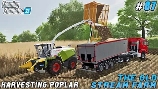 Regular Farm Work, Harvesting Poplar, Olive Picking | The Old Stream Farm | FS 22 | Timelapse #87