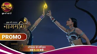 Ishq Ki Dastaan Naagmani | Chudel-Nagain की लड़ाई में किसकी होगी नागमणि? | New Promo