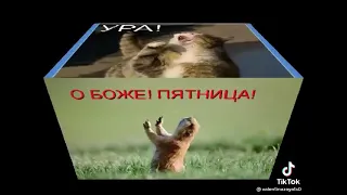 С ПЯТНИЦЕЙ, МОИ ДРУЗЬЯ  !!! ВЕСЕЛАЯ ПЕСНЯ ДЛЯ ВАС  !!!