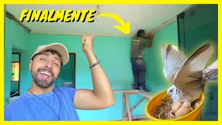 Colocamos o Gesso na Chácara - Filhotes no Sítio | Gutejando