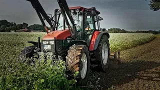 Gründüngung/Rettich Fräsen 2017 | New Holland TS 110 mit Howard Fräse