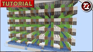 Sugar Cane Farm! Compact, Lossless, Easy to Build! (Minecraft 1.15+)