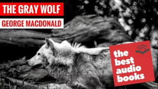 Listen to The Gray Wolf Audio Book by George MacDonald - The Best Audio Books