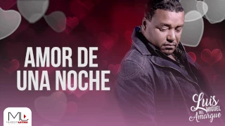 Amor de una Noche - Luis Miguel del Amargue - Audio Oficial