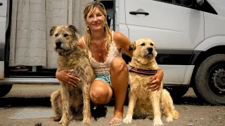Job gekündigt: Alleine als Frau mit zwei Hunden im DIY Sprintervan reisen | Interview mit Kathy