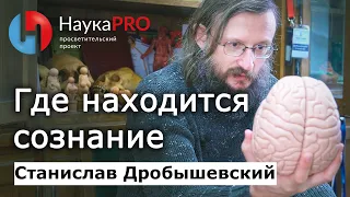 Где находится сознание? – Станислав Дробышевский | Лекции по антропологии | Научпоп