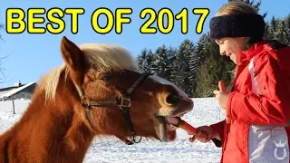 MEIN JAHRESRÜCKBLICK 2017 | DANKE! ♥ | Marina und die Ponys