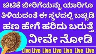 ಜೀರಿಗೆಯನ್ನು ಇಲ್ಲಿ ಬಚ್ಚಿಡಿ ಹಣ ಹೇಗೆ ಹರಿದು ಬರುತ್ತೆ ನೋಡಿ | LIVE | powerful tips cumin seeds in astrology