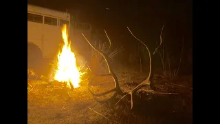 Bull Elk Hunt! Central Nevada Muzzleloader!