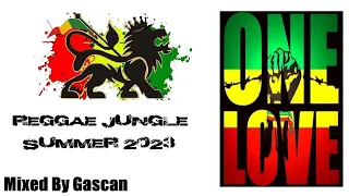 New Reggae Jungle Drum & Bass Mix Summer 2023 / Ragga Jungle