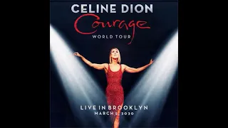 Celine Dion - My Heart Will Go On (Live in Brooklyn)