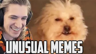 xQc Reacts to UNUSUAL MEMES COMPILATION V125