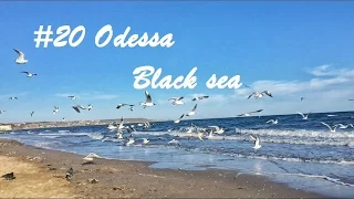 #20 ODESSA Что посмотреть? Чайки, море, выходной. ✌