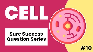 Sure Success Question Series | The Cell