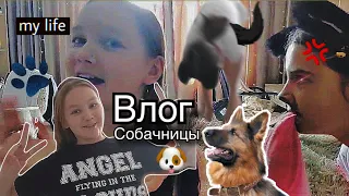 ВЛОГ СОБАЧНИЦЫ как я провожу время со своей собакой 🐶