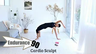 INTERVAL WORKOUT Cardio Sculpt WORKOUT -  Barlates Body Blitz Endurance 90 Cardio Sculpt