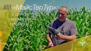 «МайсТерТур»: в центре внимания - кукуруза!